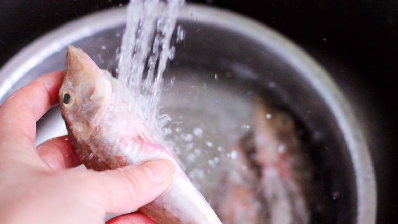 酱焖红蟹鱼青菜,把清除干净的红蟹鱼用自来水彻底冲洗干净，特别是鱼的内脏里面一定要洗干净。