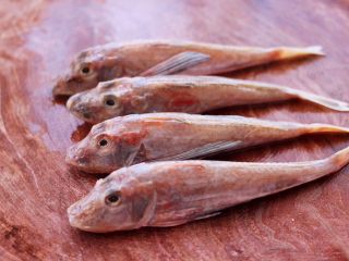 酱焖红蟹鱼青菜,新鲜的红蟹鱼4条。
