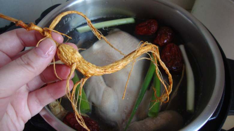 韩国参鸡汤,放入高压锅里，倒入热水，加葱姜和药材（枸杞先不放）