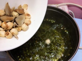 消暑滋补 莲子百合绿豆汤,绿豆煮沸后放入莲子百合