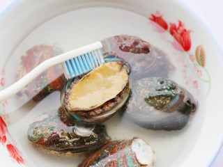清蒸鲍鱼,用牙刷将里外刷干净，剥开壳挖去内脏。