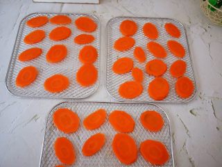 自制胡萝卜干,均匀的把胡萝卜片放入果干机的晾架上，不要叠放在一起