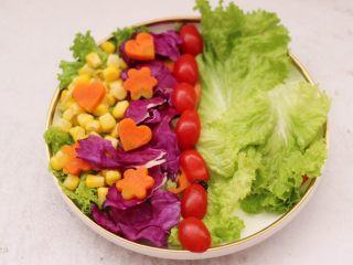 鸡胸肉时蔬沙拉,取一个大一点的盘子，盘子底下先铺上洗净的蔬菜，分别把玉米粒和紫甘蓝，胡萝卜和番茄摆盘。