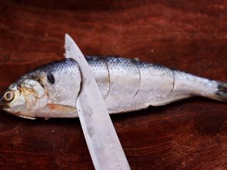 干炸海鲫鱼,把洗净的海鲫鱼改一下刀，这样炸的海鲫鱼入味又能炸透。