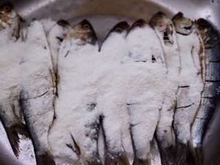 干炸海鲫鱼,把腌制好的海鲫鱼，撒上适量面粉，让每条鱼都均匀地蘸上一层薄薄的的面粉。