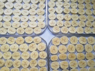 自制香蕉果干,四层烤网需要7根芝麻蕉。
