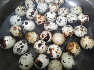 五香鹌鹑蛋,放入锅中煮