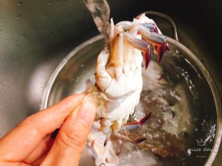 姜葱炒螃蟹,螃蟹用刷子刷洗净干净