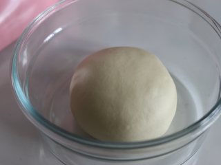 蔓越莓哈斯面包,放入盆中，在温暖的环境中发酵。需要盖好盖子或者覆盖湿布。
