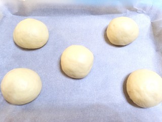 汉堡胚,烤盘中铺上油纸，揉成圆形放入烤盘中，放入烤箱二次发酵至两倍大