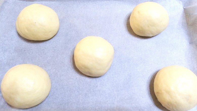 汉堡胚,烤盘中铺上油纸，揉成圆形放入烤盘中，放入烤箱二次发酵至两倍大