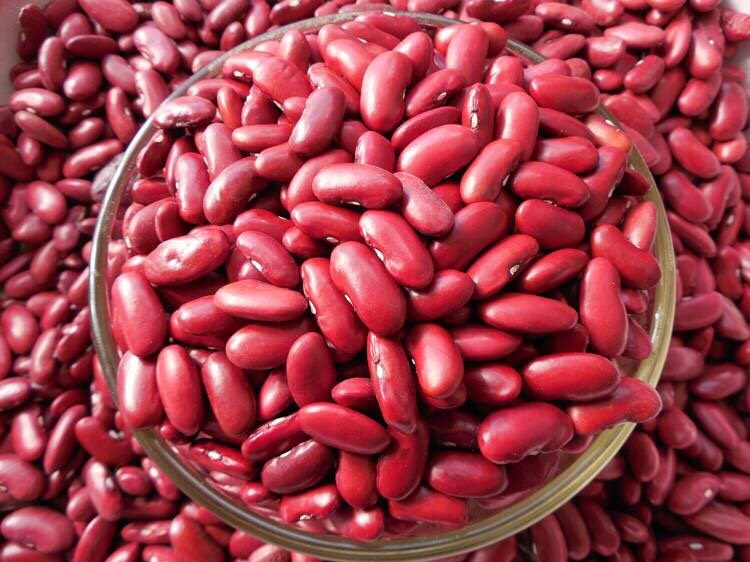 红色豆子品种大全图片