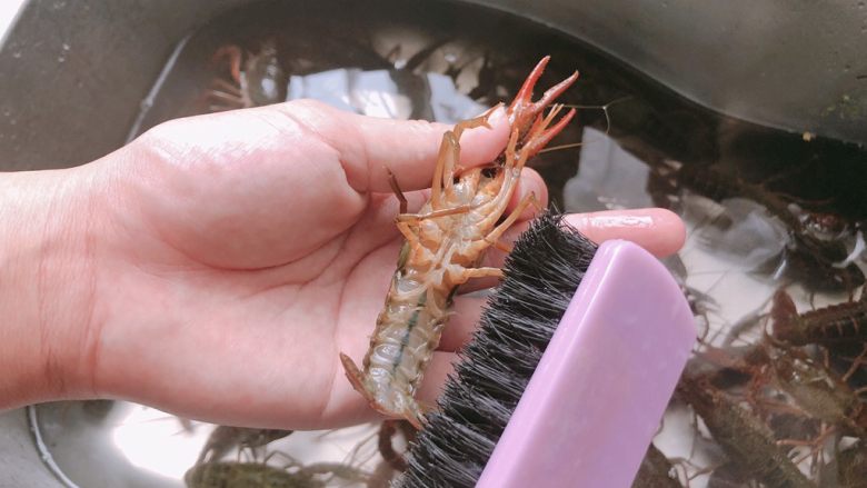 十三香小龙虾,用刷子刷一下小龙虾，做个spa