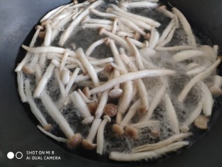 蚝油鸡丝双菇,蟹味菇和白玉菇清洗干净，锅里放水烧开，倒入洗好的蟹味菇和白玉菇焯水两分钟。