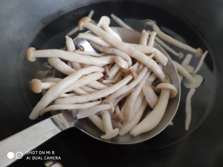 蚝油鸡丝双菇,捞出来控干水分备用。焯水能去除蟹味菇特有的腥味，口感比更好。