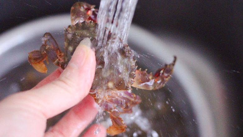 鲜美到爆的花蟹两吃,把所有的花蟹都冲洗干净。