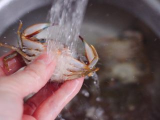 双椒辣爆花蟹,把花蟹用清水冲洗干净，沥干水份。