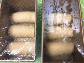 牛奶双吐司【一次发酵】,依次放入吐司盒，盖上保鲜膜。