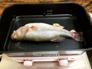 鲈鱼焖豆芽,把鲈鱼码在锅中，大火煎至一面金黄色