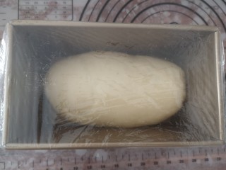 抹茶蜜豆土司,成一个小枕头状，放入土司模中，进行二次发酵