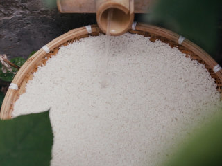 杨梅酒,洗米：浸泡好的糯米用水冲洗，直到流水清澈