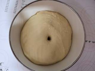 脆底小面包,盖湿布放温暖地方发酵至两倍大