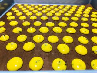 黑芝麻蛋黄溶豆,用裱花袋装好溶豆面糊，然后挤在烤盘上，挤的时候要留点缝隙，间隔开一些。