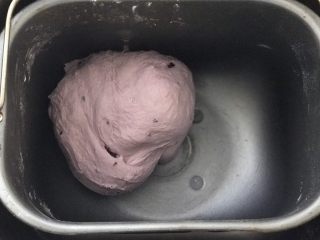 黑醋栗酸奶吐司（面包机版）,然后再次揉面半分钟，进行二发。