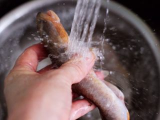 番茄啤酒炖光鱼,光鱼去除内脏后，用清水反复冲洗干净。