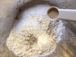 玉米面蜜红豆发面饼,把玉米面粉和中筋面粉倒入容器中，加入酵母。