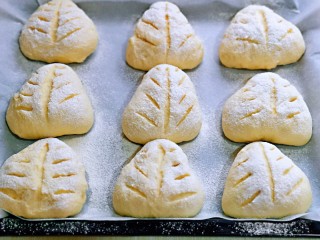 奶香软欧包,发酵好的面包胚明显变大，筛上一层软欧面包粉，(高筋面粉也可以)再用锋利的刀割出自己喜欢的形状都可以。