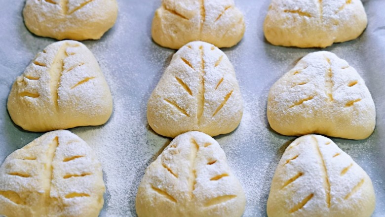 奶香软欧包,发酵好的面包胚明显变大，筛上一层软欧面包粉，(高筋面粉也可以)再用锋利的刀割出自己喜欢的形状都可以。