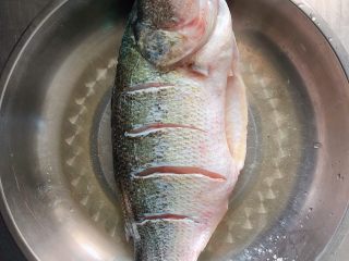 油泼鱼,鲈鱼身上来几刀，放入盐和料酒，上下里外抹均匀腌制5分钟。