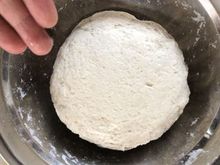 豇豆包子（长豆角）,揉成光滑的面团