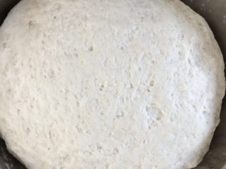 豇豆包子（长豆角）,面团发酵至两倍大的样子