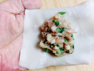 海苔三鲜馄炖,取出馄炖皮，放入肉馅儿，逐一包出馄炖。