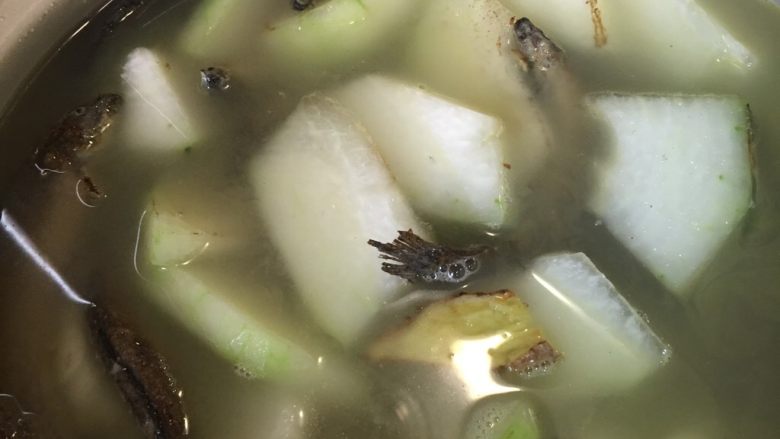 泥鳅冬瓜汤,换个沙锅，加入热开水。