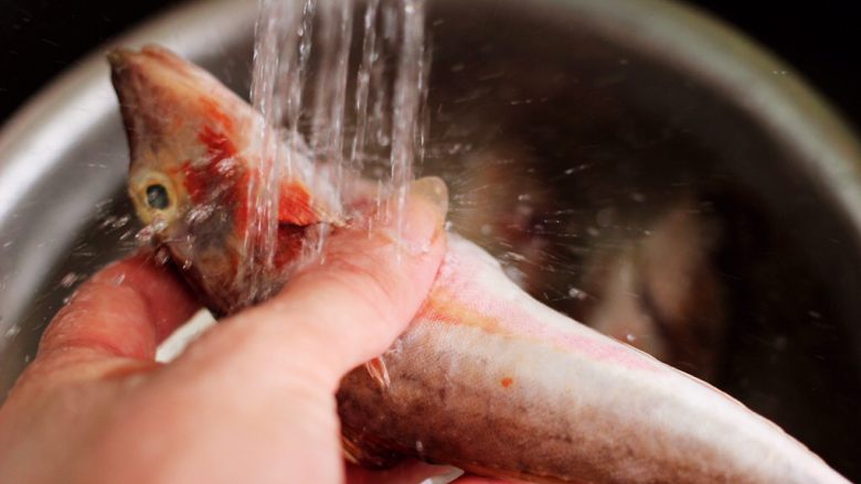 啤酒焖红蟹鱼,红蟹鱼清除内脏后，用自来水反复冲洗干净。