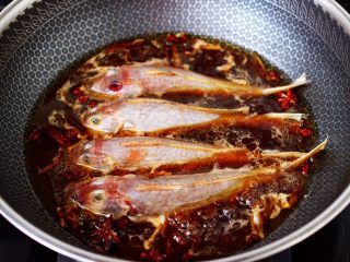 啤酒焖红蟹鱼,大火煮沸后，把洗净的红蟹鱼放入锅中。