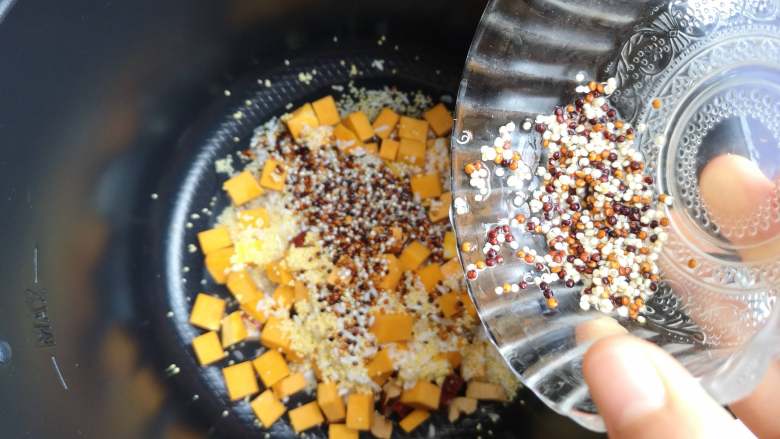 营养丰富+藜麦南瓜粥,浸泡过的三色藜麦，已经发芽了，将其倒入锅中。