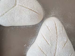 无糖全麦面包,10、取出发酵好的面团，表面撒高筋面粉，用刀片割口。花型随意。
