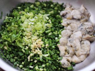 牡蛎韭菜粉嫩饺子,取一个大一点的容器，把切好的韭菜和香菜葱姜，牡蛎肉放入。