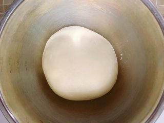 酸奶小餐包,将揉好的面团放入容器里，盖上保鲜膜，放在26度的室温环境下进行基础发酵。