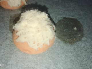 芋泥肉松泡芙,剩下的芋泥挤在表面，装饰上肉松即可。