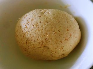 莜麦面馅饼,加温水化开的酵母把面揉成面团。覆上保鲜膜或者盖上盖子发酵一个小时，现在天气暖和会很快发起来的。