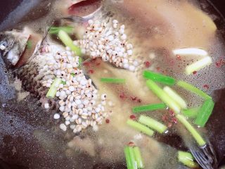 冬瓜鲫鱼汤,再放入薏米，鱼汤烧开后，盖盖儿转中小火熬煮。