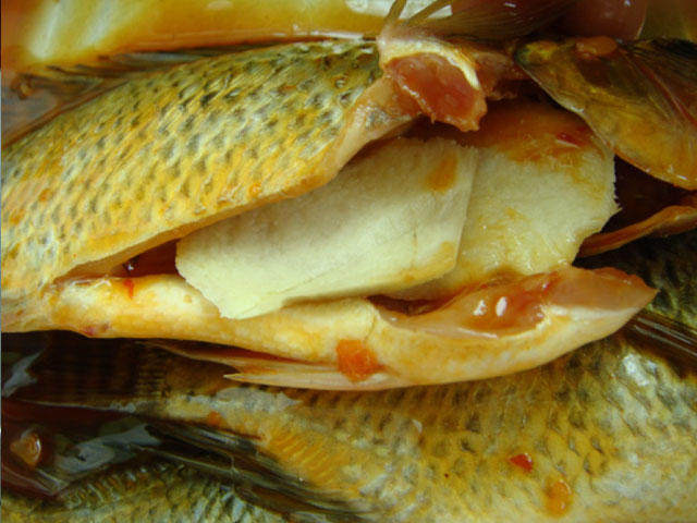 孜然烤罗非鱼, 姜片放入鱼肚内。