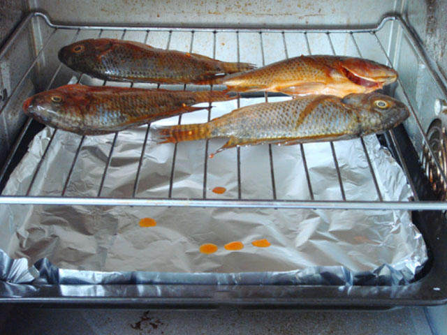 孜然烤罗非鱼,烤箱200度，上下火预热5分钟，将腌制好的罗非鱼置于烤网上（烤网需刷油防粘），放入烤箱中层开始烤制，下面烤盘垫锡纸接油。