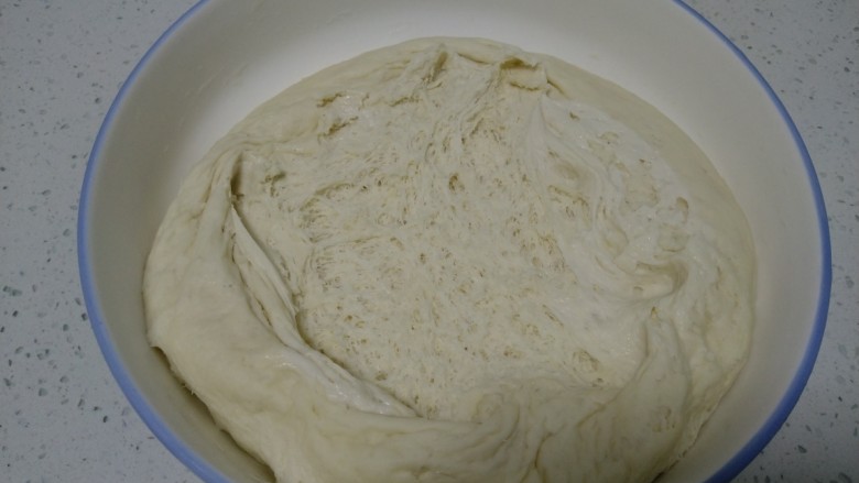 葱油长龙和葱油千层饼,盖上保鲜膜冰箱冷藏发酵6小时。