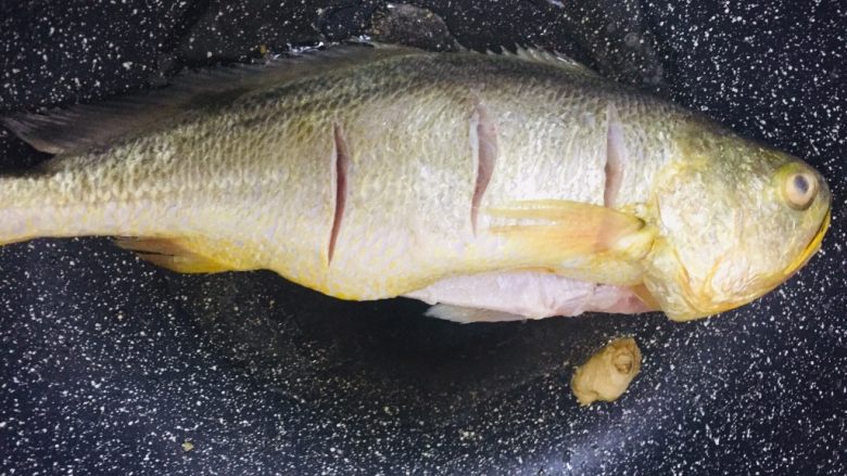 彩椒鲈鱼,入鲈鱼，煎至两面金黄